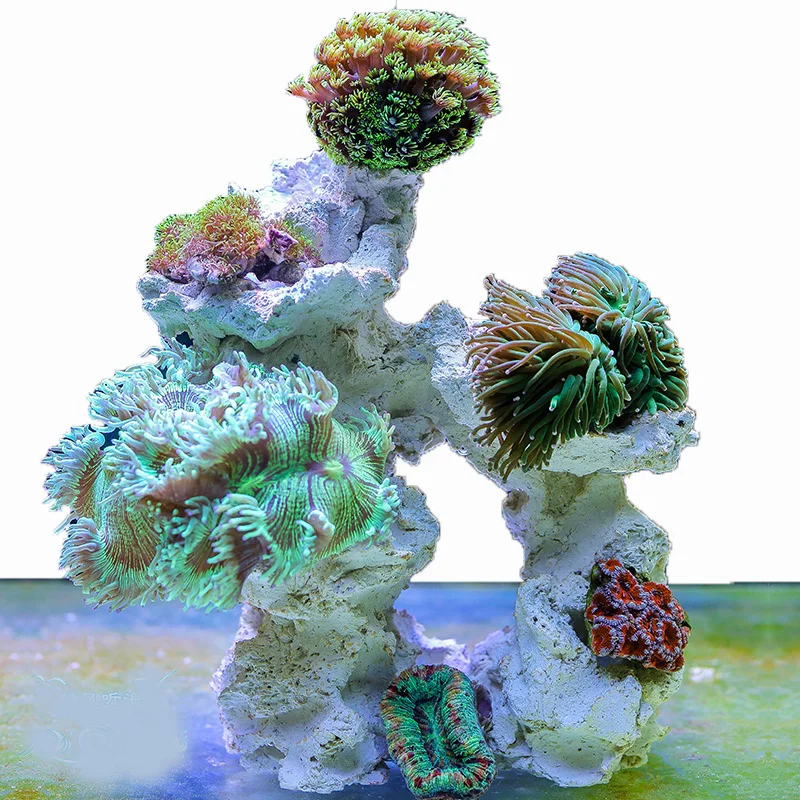 Aquarium Marine Rock - Marine Aquarium Stone Reef Coral Tank