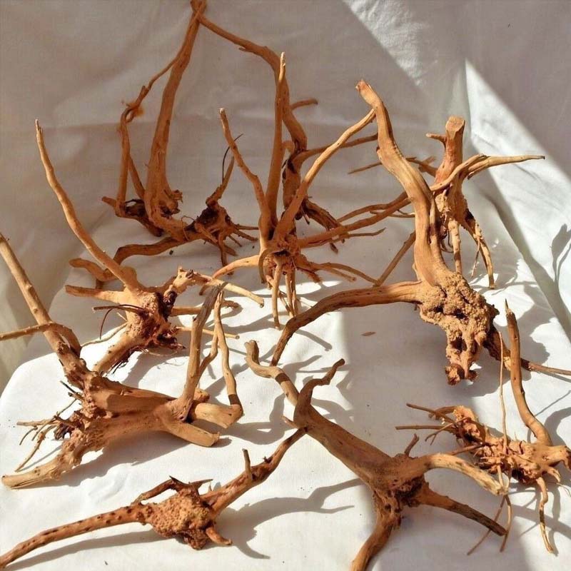 Aquarium Marine Rock - 1PC Driftwood for Aquarium,Natural Spider Wood