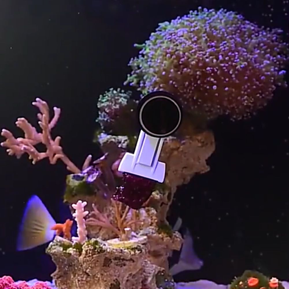 Magnetic Fish Tank Seaweed Veg - Aquarium Marine Services recension och pris