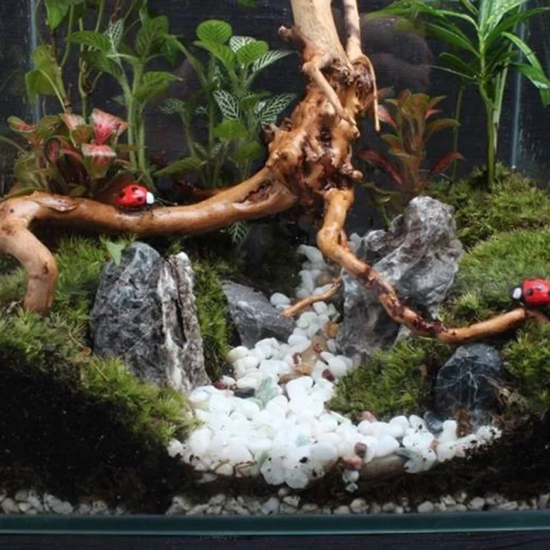 Natural Tree Trunk Driftwood A - Aquarium Marine Rock recension och pris