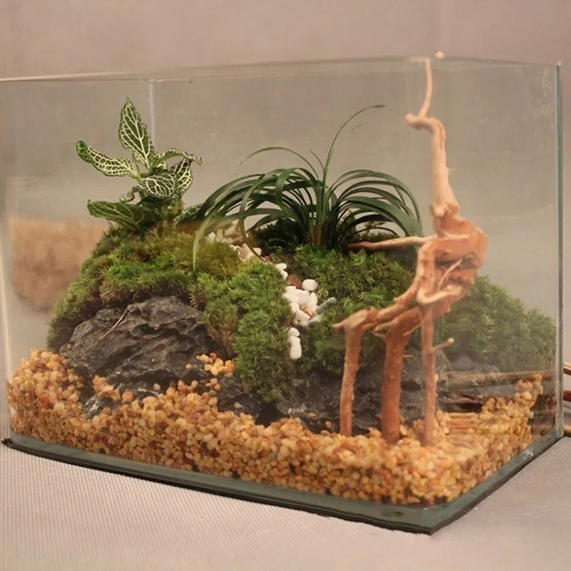 Natural Tree Trunk Driftwood A - Aquarium Marine Rock recension och pris