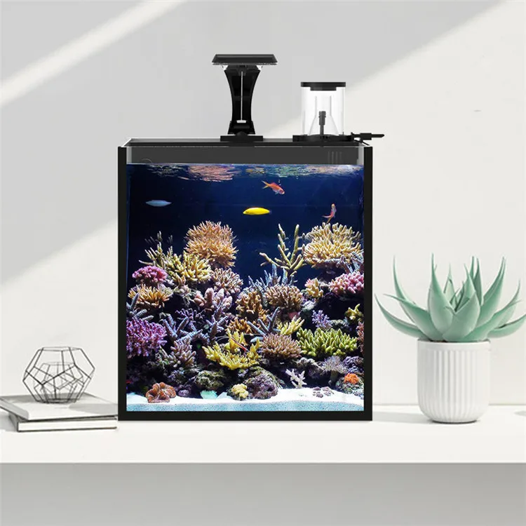 Latest Model Clear Glass Mini  - Aquarium Marine Clearwater recension och pris