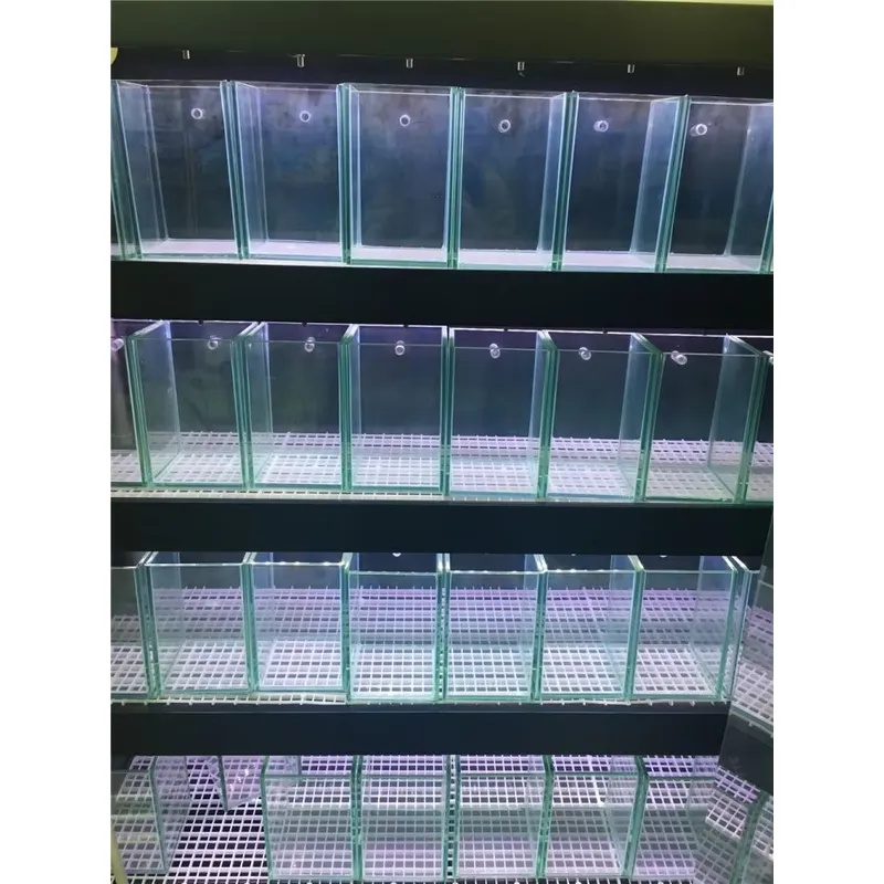 Ultra Clear Glass Aquarium Fis - Aquarium Marine Clearwater recension och pris
