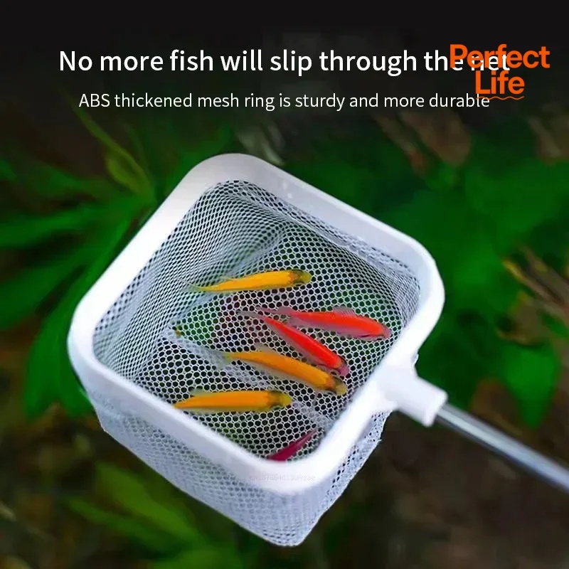 1、2Pcs Stainless Steel Fishing - Aquarium Marineland recension och pris
