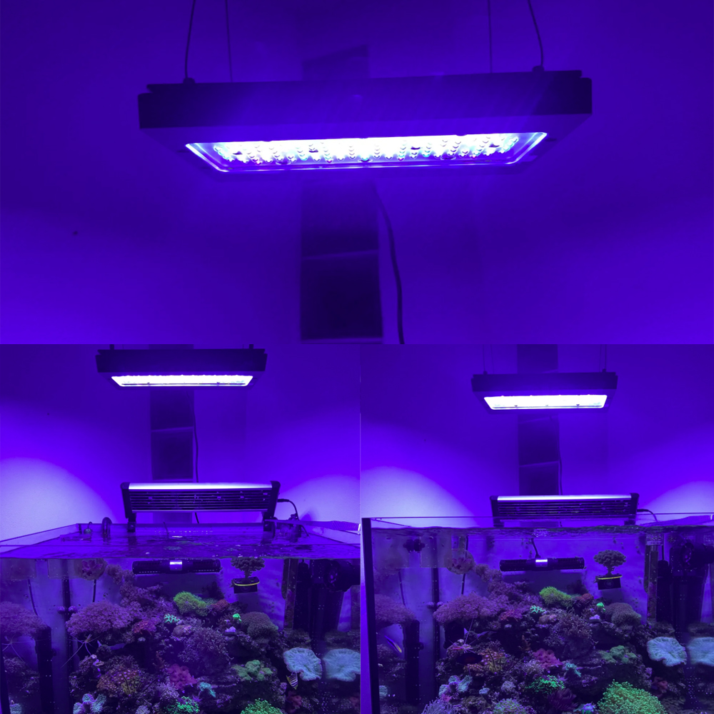 A8se Pro III MAX Blue 240W Mar - Aquarium Blue Marine Reef recension och pris