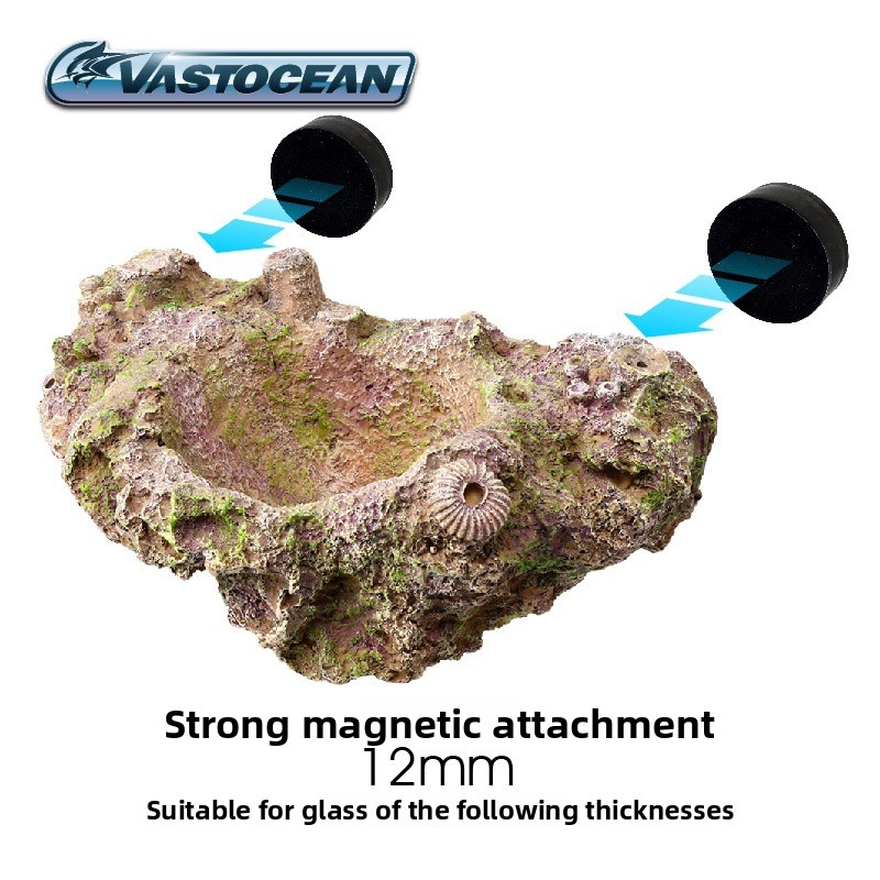 VASTOCEAN Magnetic Anemone Hol - Aquarium Marine Rock recension och pris