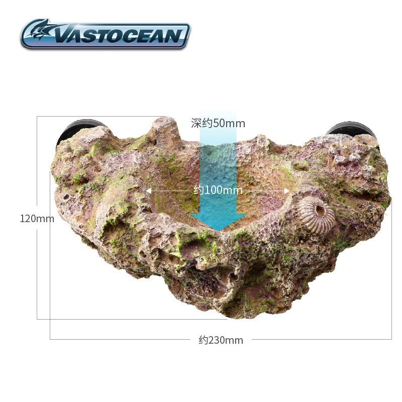 VASTOCEAN Magnetic Anemone Hol - Aquarium Marine Rock recension och pris