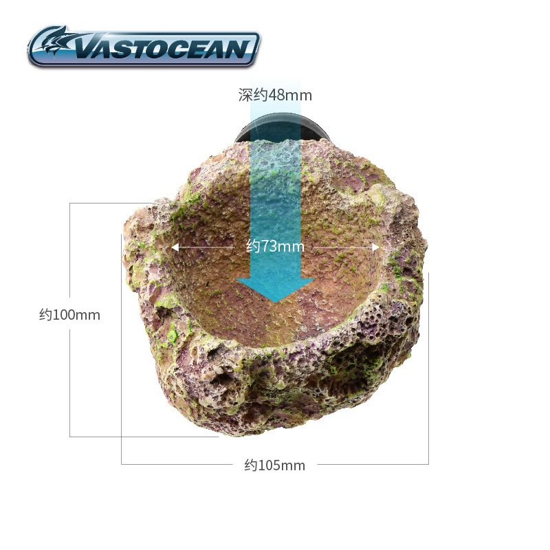 VASTOCEAN Magnetic Anemone Hol - Aquarium Marine Rock recension och pris