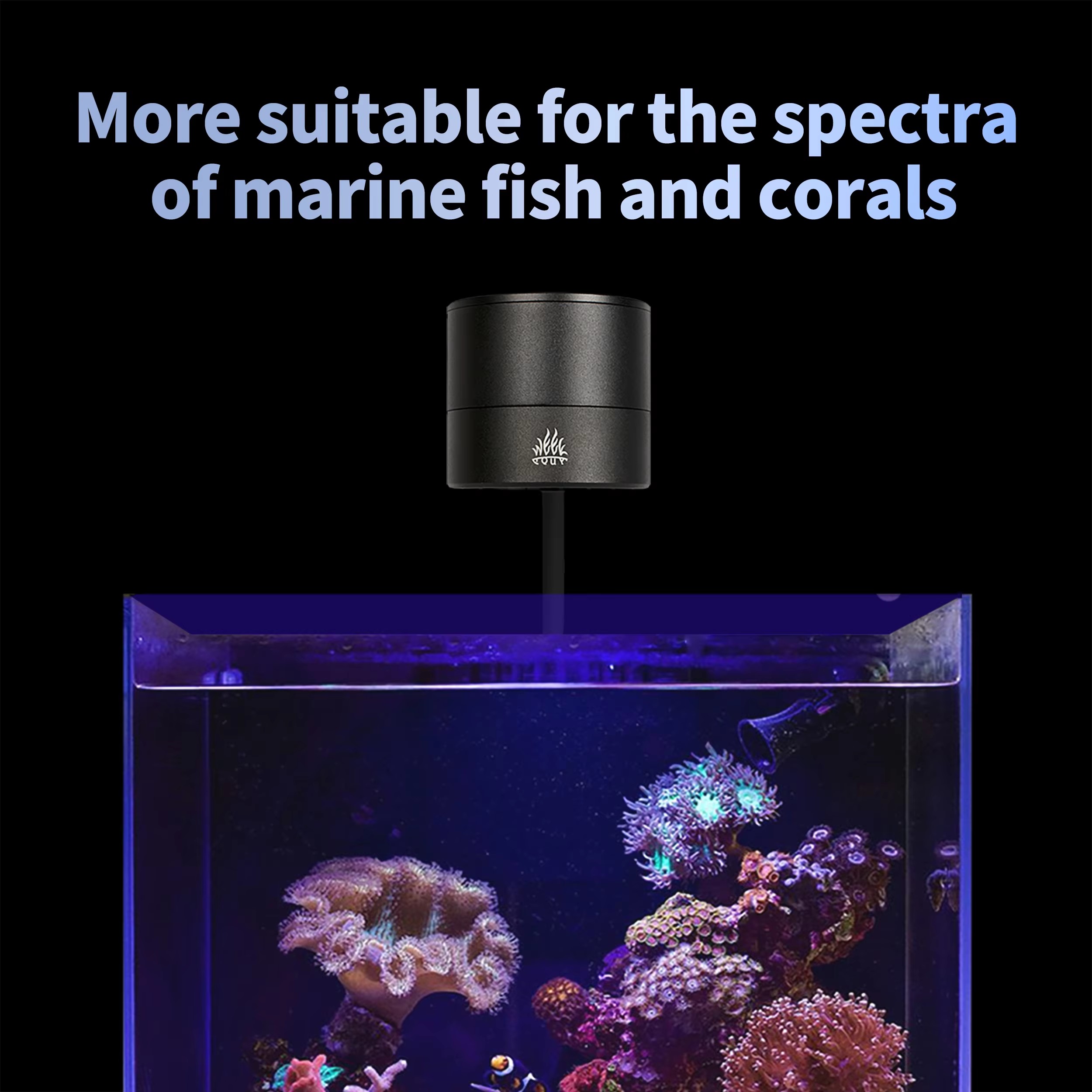 WEEK AQUA Aquarium Light Manuf - Aquarium Blue Marine Reef recension och pris