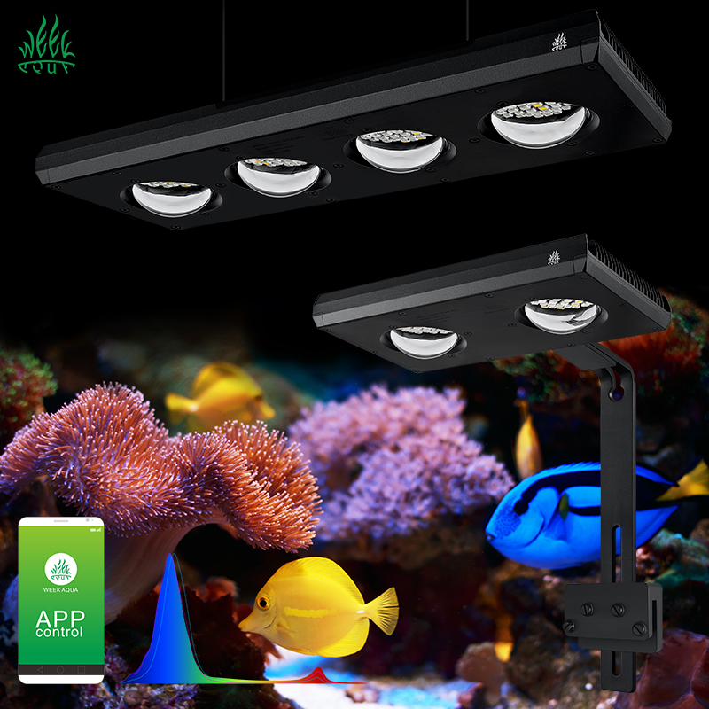 ZXY Hot Sale WEEKAQUA Z250 Z40 - Aquarium Blue Marine Reef recension och pris