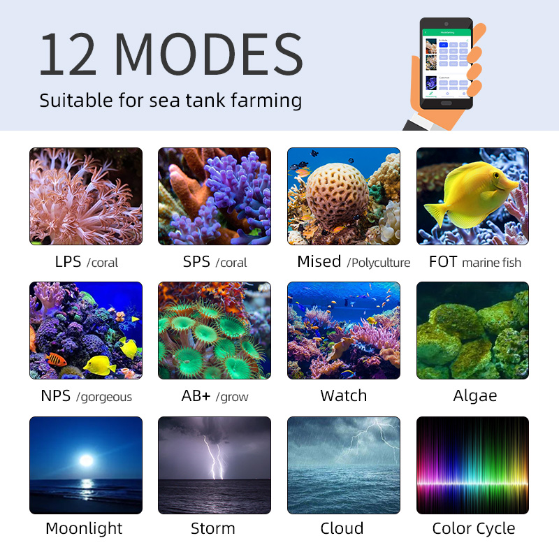 ZXY Hot Sale WEEKAQUA Z250 Z40 - Aquarium Blue Marine Reef recension och pris