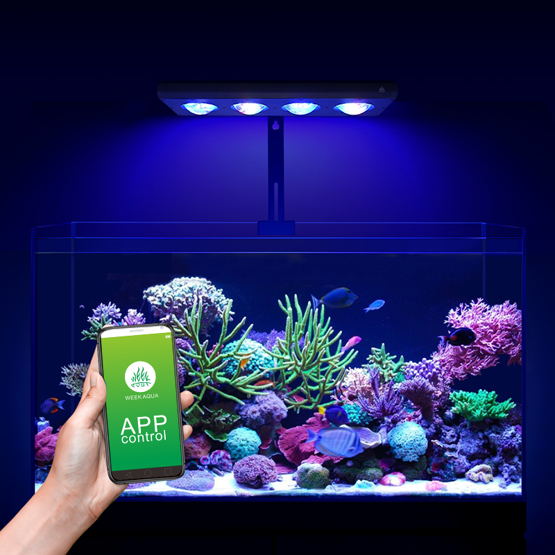 ZXY Hot Sale WEEKAQUA Z250 Z40 - Aquarium Blue Marine Reef recension och pris