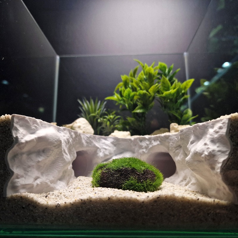 2-in-1 Water & Land Hiding Cav - Aquarium Marineland recension och pris
