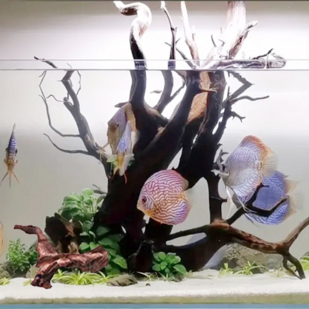 Creative Irregular Shape Coral - Aquarium Marine Rock recension och pris