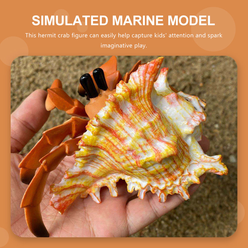 Simulation Hermit Crab Paguria - Marine Aquarium Europe recension och pris