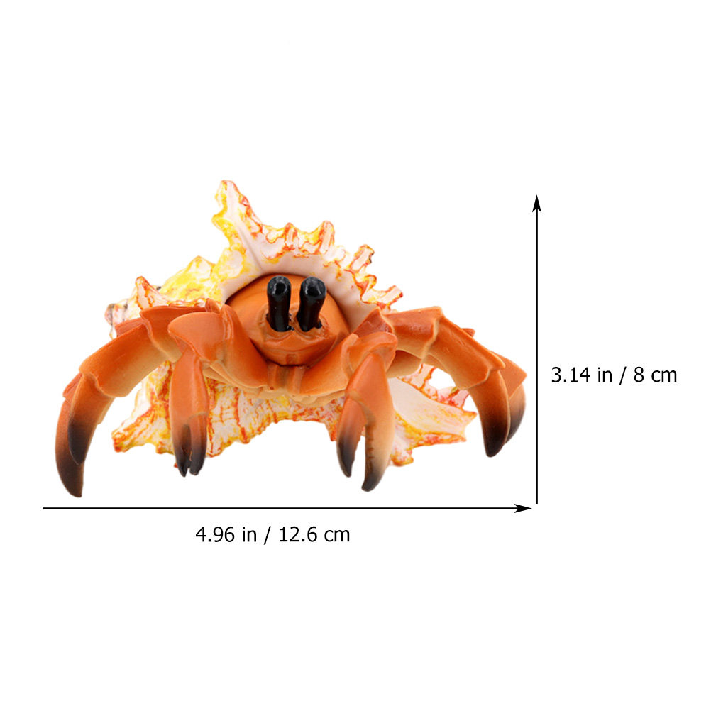 Simulation Hermit Crab Paguria - Marine Aquarium Europe recension och pris