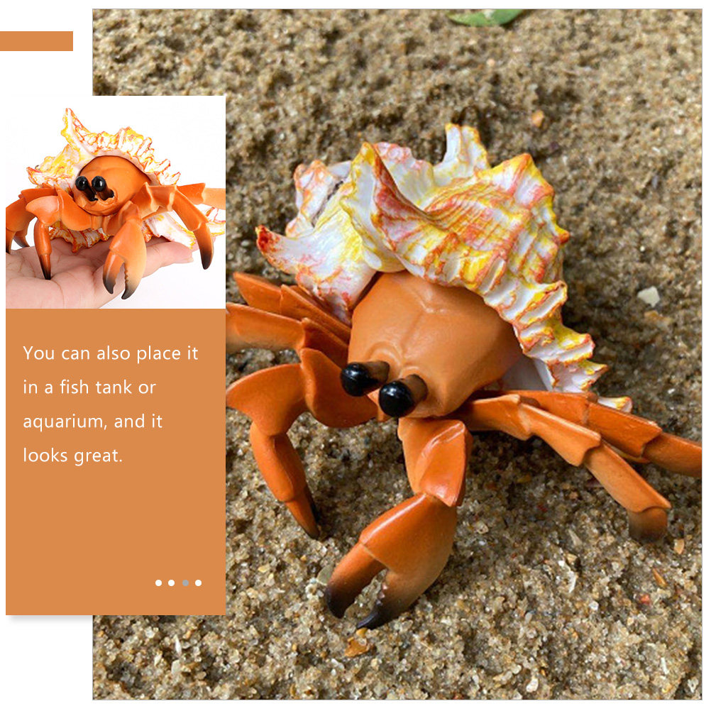 Simulation Hermit Crab Paguria - Marine Aquarium Europe recension och pris