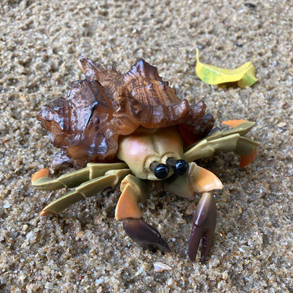 Realistic Plastic Hermit Crab  - Marine Aquarium Europe recension och pris