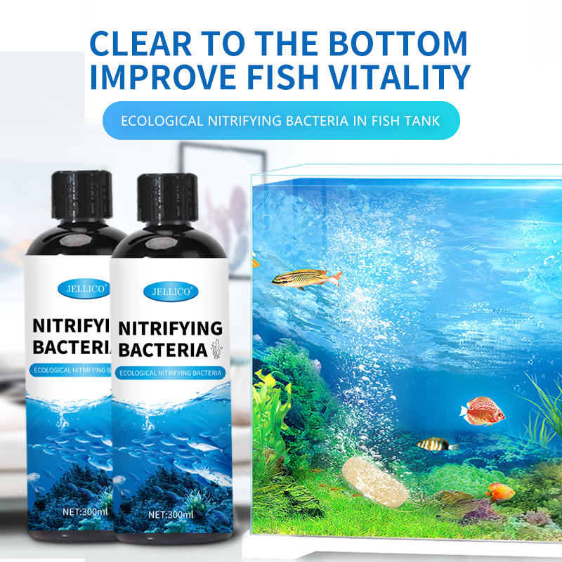 300ml Nitrifying Bacteria Aqua - Aquarium Marine Clearwater recension och pris
