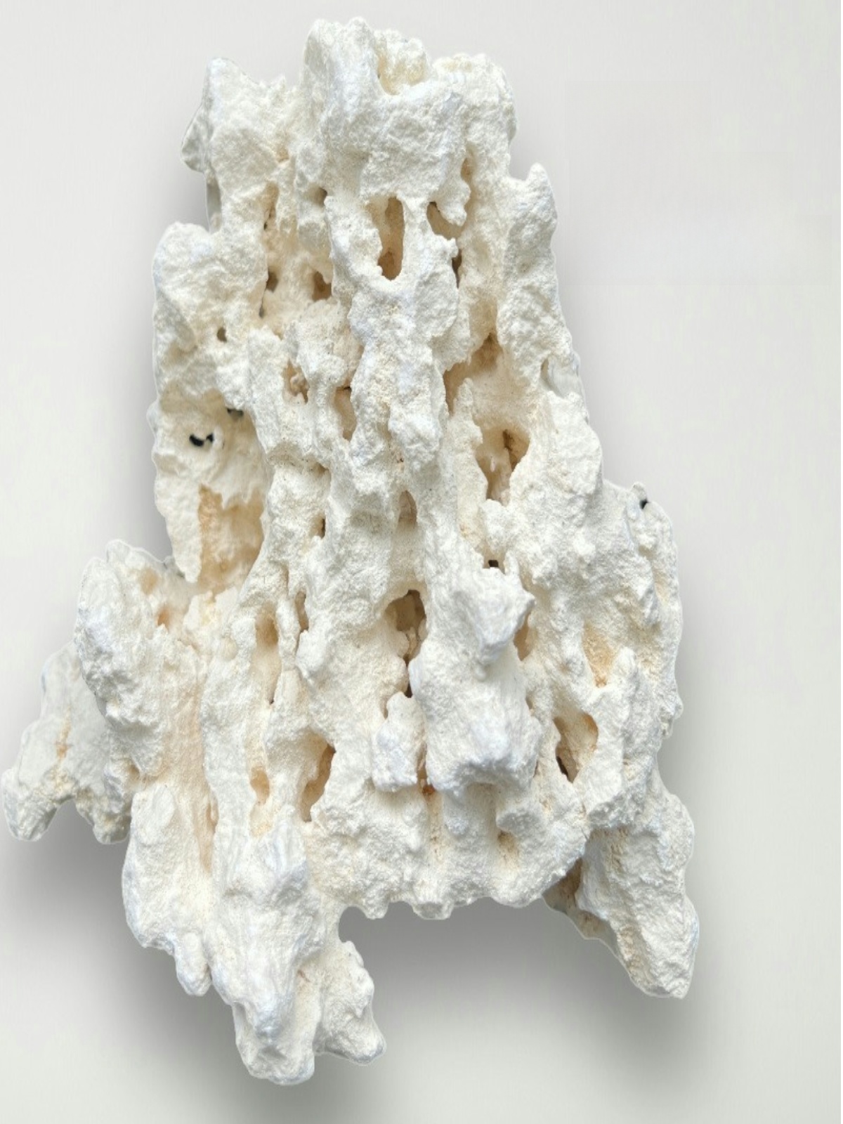 Kilago Dry Rock Natural Coral  - Aquarium Marine Rock recension och pris