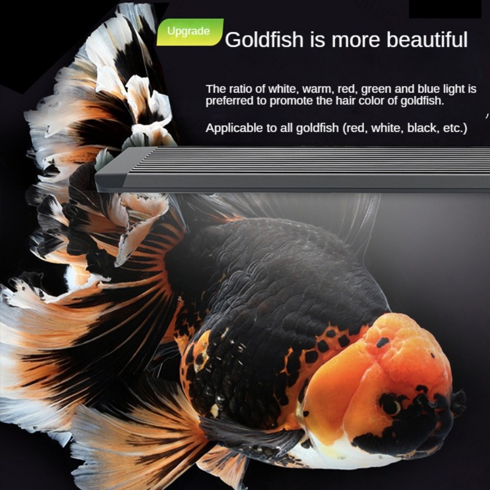Aquarium Light With Optical Le - Aquarium Marine Clearwater recension och pris