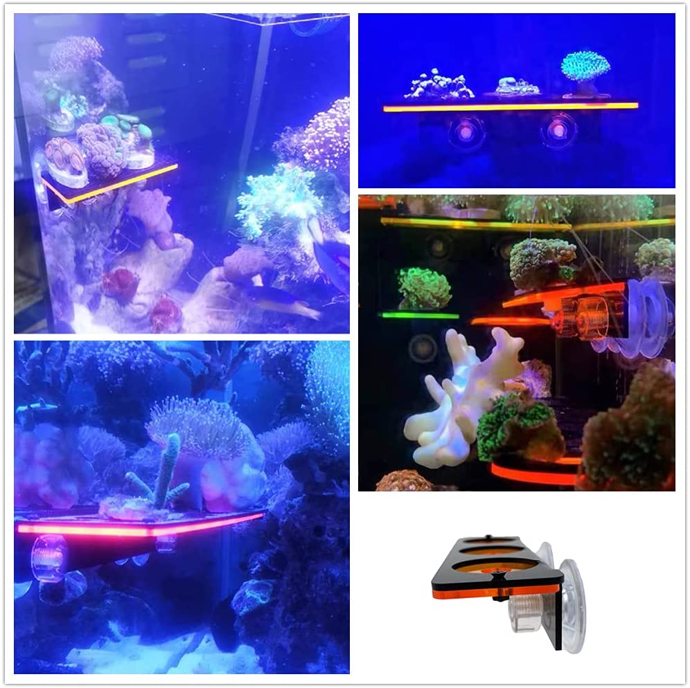 Fluorescent Coral Frag Plug Br - Marine Aquarium Aquascape recension och pris