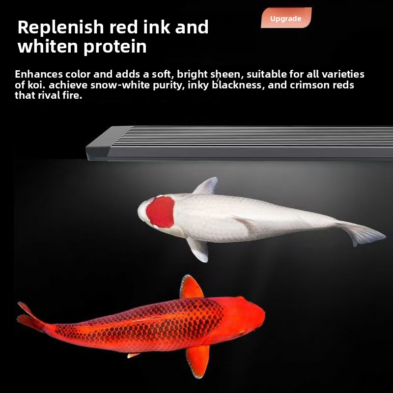 LED Aquarium Light for Fish Ta - Aquarium Marine Clearwater recension och pris